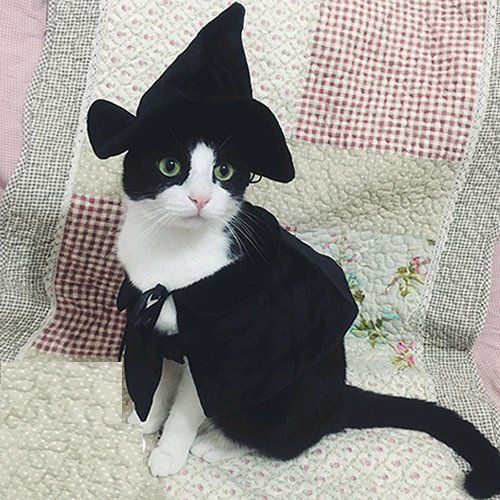 Witch